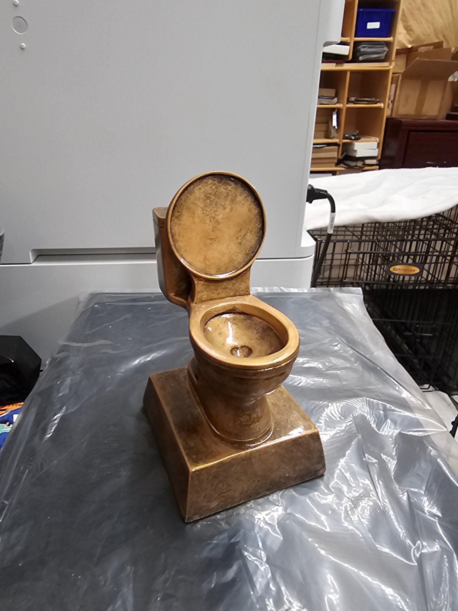 Novelty Trophy